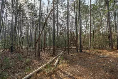 2070 Highway Church Road, Elgin, SC 29045 - Photo 13