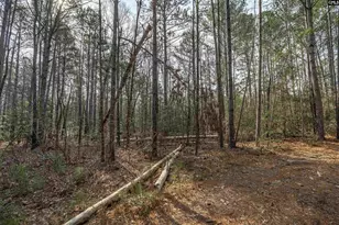 2070 Hwy Church Rd, Elgin, SC 29045 - Photo 13