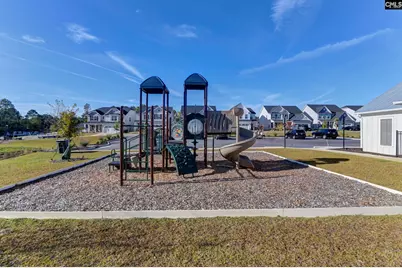 611 Thunder Gulch Avenue, Lexington, SC 29073 - Photo 41