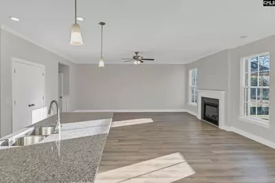611 Thunder Gulch Avenue, Lexington, SC 29073 - Photo 13