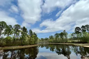 612 Thunder Gulch Ave, Lexington, SC 29073 - Photo 35