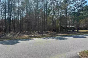 401 Inwood Street W, Bethune, SC 29009 - Photo 5