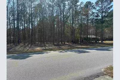 401 Inwood Street W, Bethune, SC 29009 - Photo 3