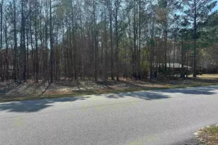 401 Inwood Street W, Bethune, SC 29009 - Photo 3