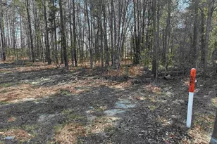 401 Inwood Street W, Bethune, SC 29009 - Photo 7