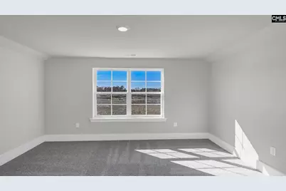 213 Livingston Woods Drive, Irmo, SC 29063 - Photo 39