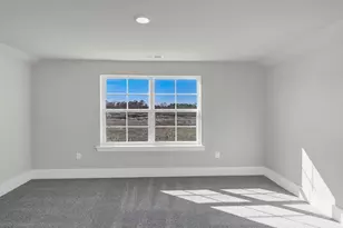 213 Livingston Woods Dr, Irmo, SC 29063 - Photo 39