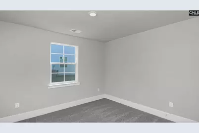 213 Livingston Woods Drive, Irmo, SC 29063 - Photo 23