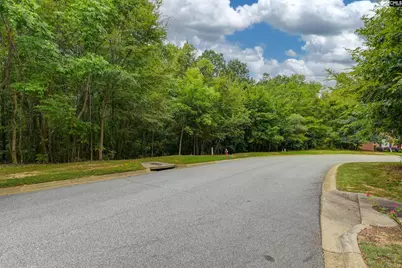 329 Old Wood Drive, Columbia, SC 29212 - Photo 7