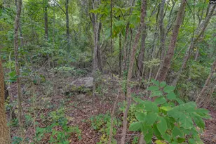 329 Old Wood Dr, Columbia, SC 29212 - Photo 9