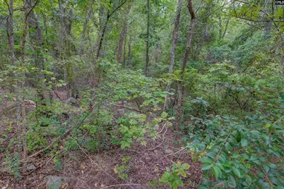 329 Old Wood Drive, Columbia, SC 29212 - Photo 11