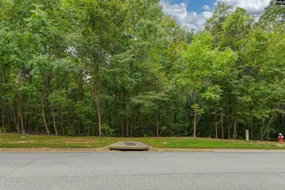 329 Old Wood Drive, Columbia, SC 29212 - Photo 5