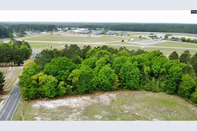 2086 Goff Lane, Elgin, SC 29045 - Photo 3