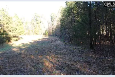 E/S Old Hilton Road, Chapin, SC 29036 - Photo 3