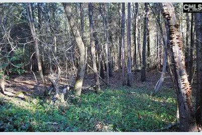 E/S Old Hilton Road, Chapin, SC 29036 - Photo 5