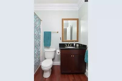 808 Island Point Lane, Chapin, SC 29036 - Photo 37