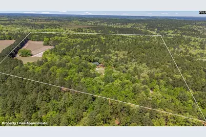 560 Beaver Creek Road, Swansea, SC 29160 - Photo 59