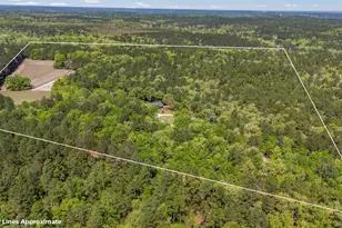 560 Beaver Creek Rd, Swansea, SC 29160 - Photo 59