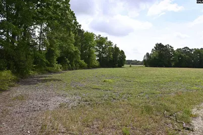 Tbd Gallowaytown Road, Hartsville, SC 29550 - Photo 25
