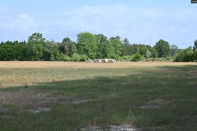 Tbd Gallowaytown Road, Hartsville, SC 29550 - Photo 3