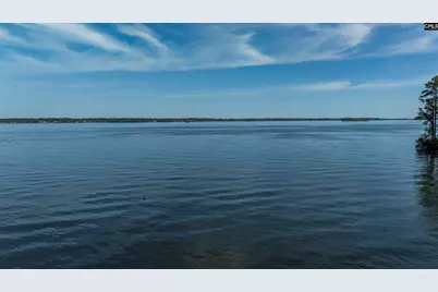 1305 Rock Island Road, Gilbert, SC 29054 - Photo 69