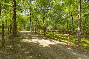 1305 Rock Island Rd, Gilbert, SC 29054 - Photo 57