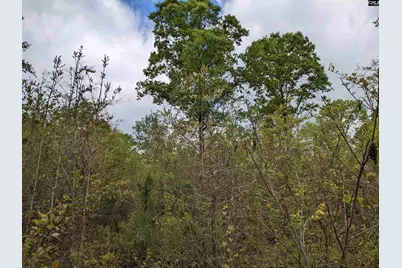 2206 Highway 1, Elgin, SC 29045 - Photo 5