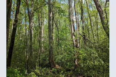 2206 Highway 1, Elgin, SC 29045 - Photo 21