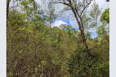 2206 Highway 1, Elgin, SC 29045 - Photo 11