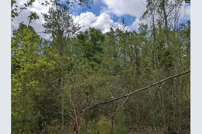 2206 Highway 1, Elgin, SC 29045 - Photo 7