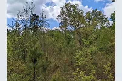 2206 Highway 1, Elgin, SC 29045 - Photo 3