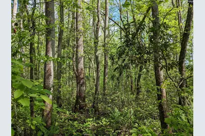 2206 Highway 1, Elgin, SC 29045 - Photo 25