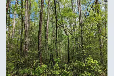 2206 Highway 1, Elgin, SC 29045 - Photo 23