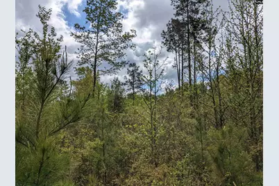 2206 Highway 1, Elgin, SC 29045 - Photo 13