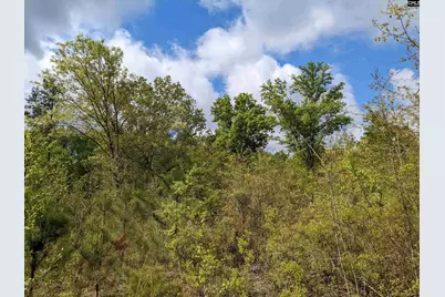 2206 Highway 1, Elgin, SC 29045 - Photo 15