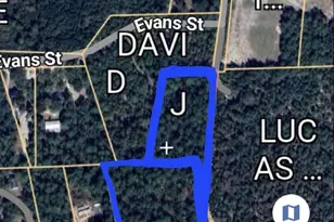 Tbd Fiddlers Ln, Gaston, SC 29053 - Photo 1