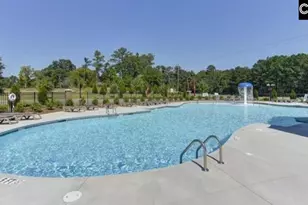 727 Sterling Crk Ct, Lexington, SC 29072 - Photo 39