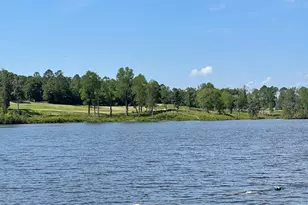 465 Henslowe Ln, West Columbia, SC 29170 - Photo 63