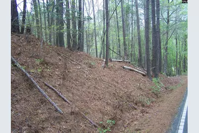 305 - 321 Dubard Boyle Road Lots#18-22, Columbia, SC 29203 - Photo 7