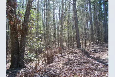 305 - 321 Dubard Boyle Road Lots#18-22, Columbia, SC 29203 - Photo 9