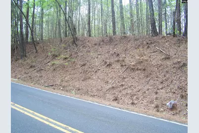 305 - 321 Dubard Boyle Road Lots#18-22, Columbia, SC 29203 - Photo 5