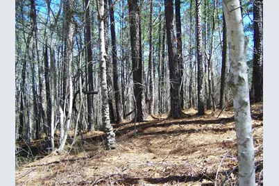 305 - 321 Dubard Boyle Road Lots#18-22, Columbia, SC 29203 - Photo 1