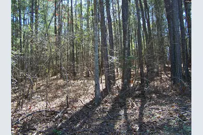 305 - 321 Dubard Boyle Road Lots#18-22, Columbia, SC 29203 - Photo 11