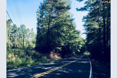 305 - 321 Dubard Boyle Road Lots#18-22, Columbia, SC 29203 - Photo 3