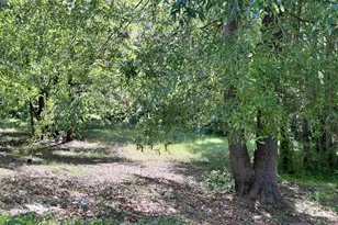 6726 E Peach Rd, Ridgeway, SC 29130 - Photo 3