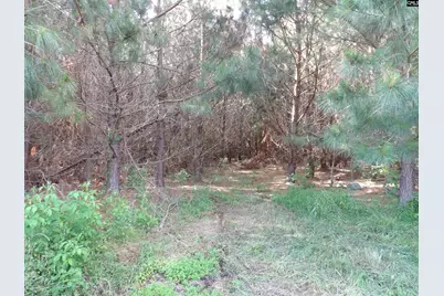 0 McCormick Highway, Saluda, SC 29138 - Photo 13