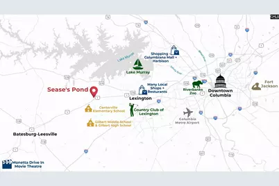 344 Babcock Way, Gilbert, SC 29054 - Photo 35