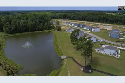 344 Babcock Way, Gilbert, SC 29054 - Photo 33