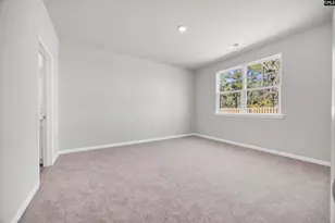 344 Babcock Wy, Gilbert, SC 29054 - Photo 17