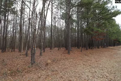 Lot 229 Granny Hill Road #229, Prosperity, SC 29127 - Photo 41